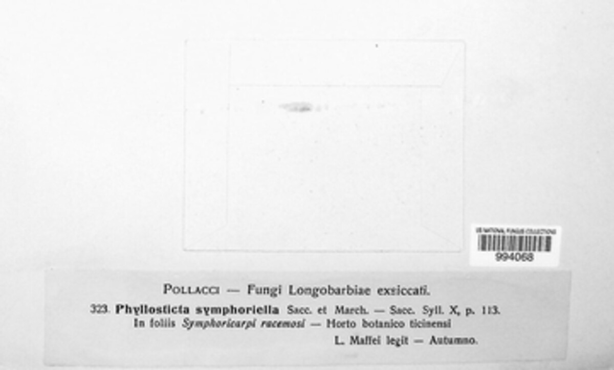 Phyllosticta symphoriella image